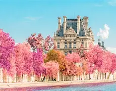 酒徒by秦三见免费阅读-开云体育app